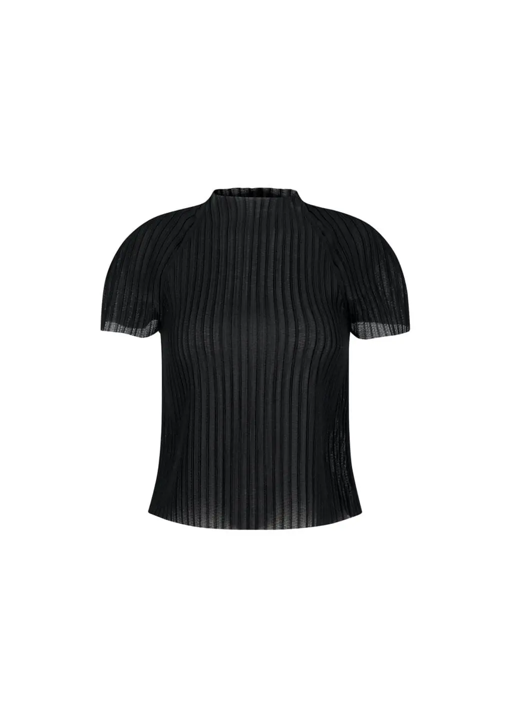 Women's Pleats Raglan Top, Black