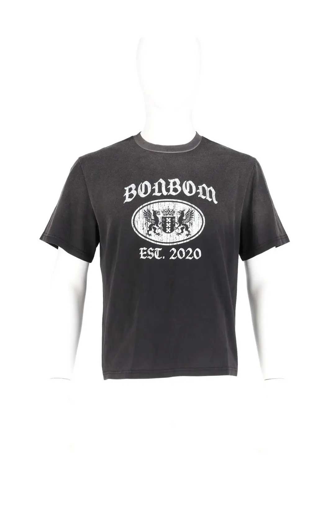 Oval Washed Griffin Graphic T-Shirt
