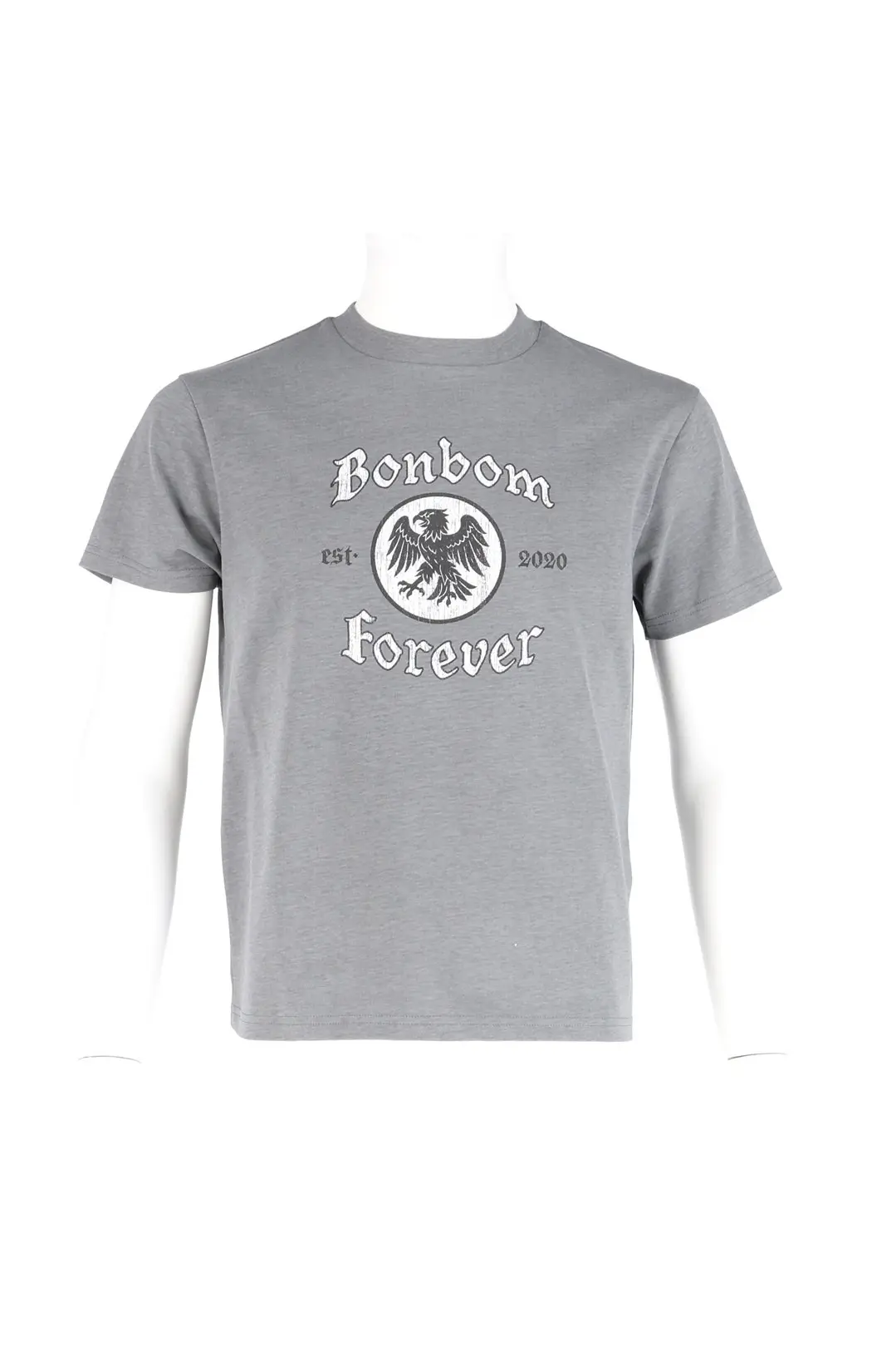 Eagle Vintage Effect Logo T-Shirt (Grey, Style 1-2)