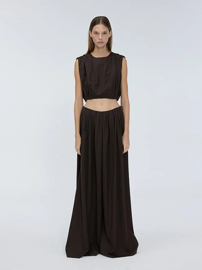 Wide Pleated Pants (Brown)